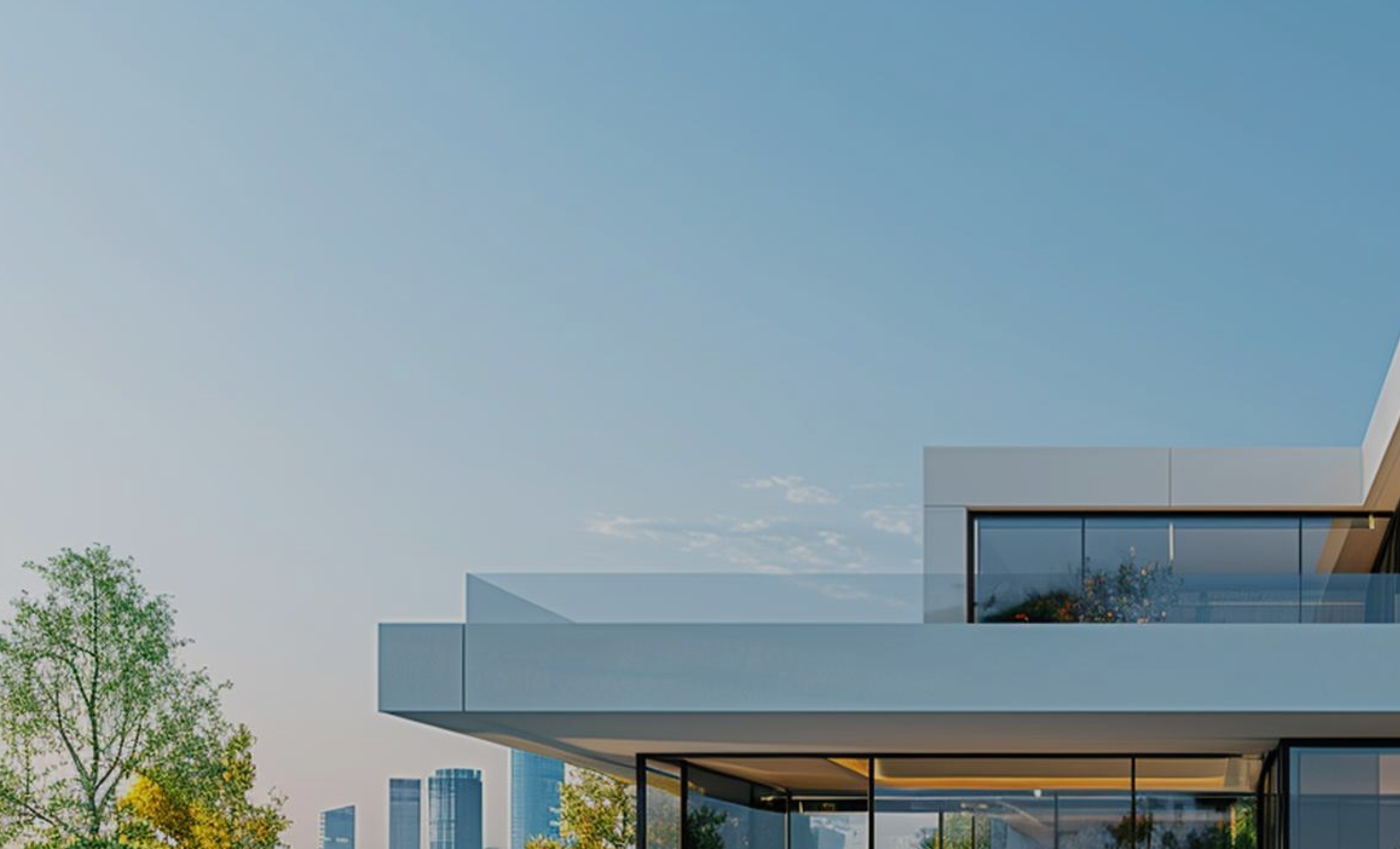 Modern luxury house